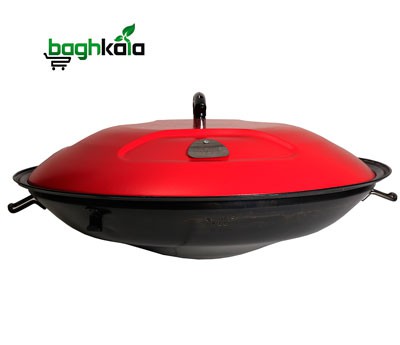 باربیکیو و آتشدان ذغالی پارمیس